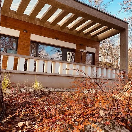Pine-wood Villa Balatonalmadi